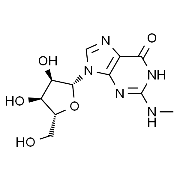 N2-Methylguanosine