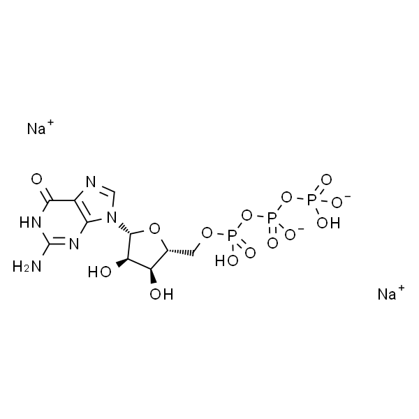 Guanosine-5-triphosphate (disodium salt)