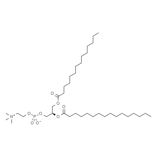 1-myristoyl-2-palmitoyl-sn-glycero-3-phosphocholine