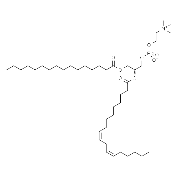 Phosphatidylcholine(1+)