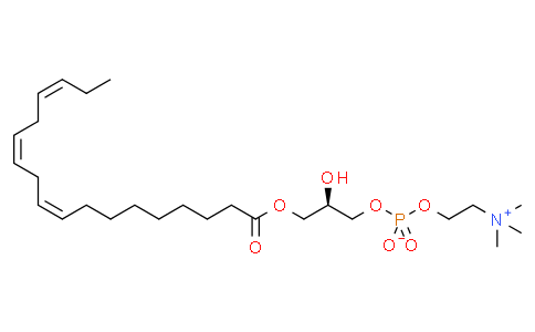 1-Linolenoyl-2-Hydroxy-sn-Glycero-3-Phosphatidylcholine