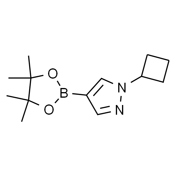 1-Cyclobutyl-4-(4，4，5，5-tetramethyl-1，3，2-dioxaborolan-2-yl)-1H-pyrazole
