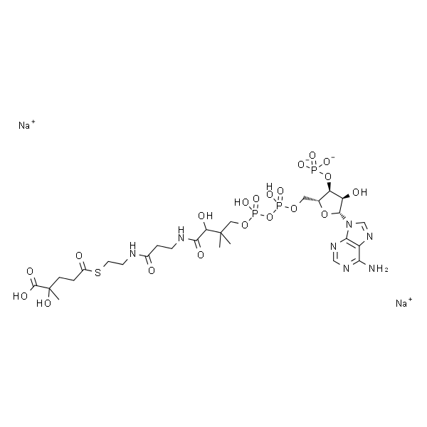 (DL-3-Hydroxy-3-methylglutaryl)-coenzyme A disodium salt trihydrate