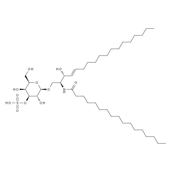 N-Heptadecanoyl-sulfatide