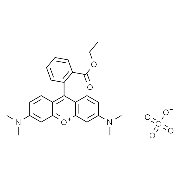 Tetramethylrhodamine Ethyl Ester Perchlorate