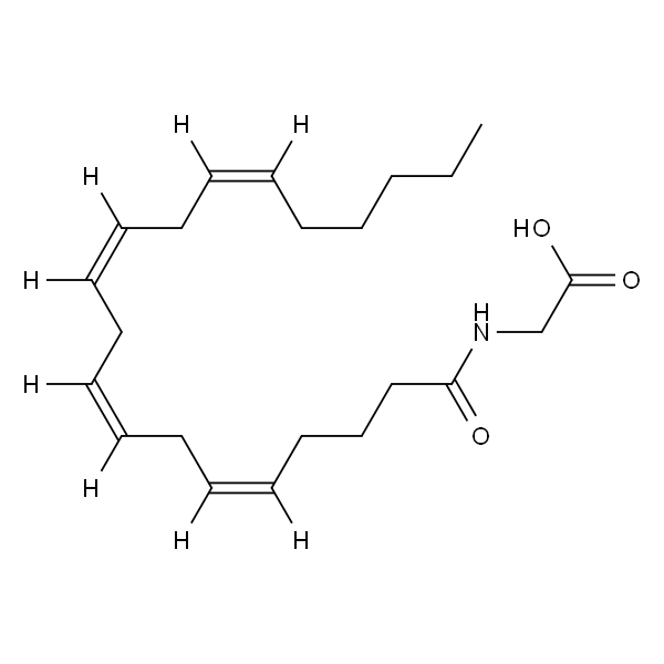 Arachidonoyl Glycine-d8