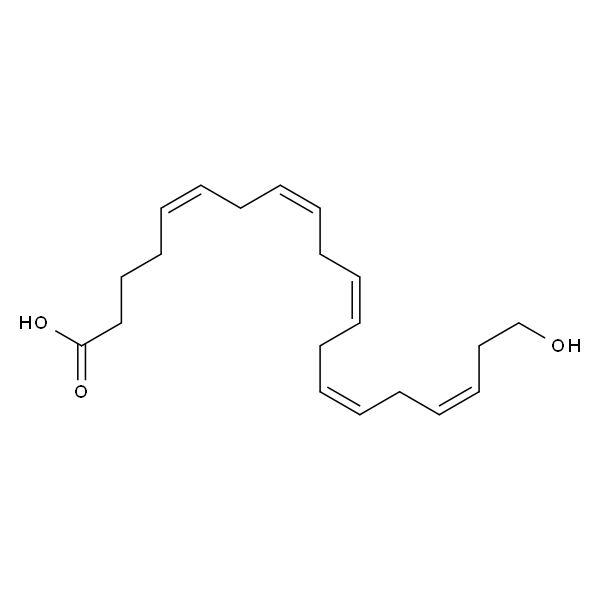 20-hydroxy-5(Z),8(Z),11(Z),14(Z),17(Z)-eicosapentaenoic acid