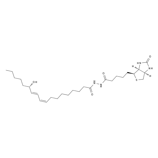 13(S)-hydroxy-9(Z),11(E)-octadecadiene-(2-biotinyl)hydrazide