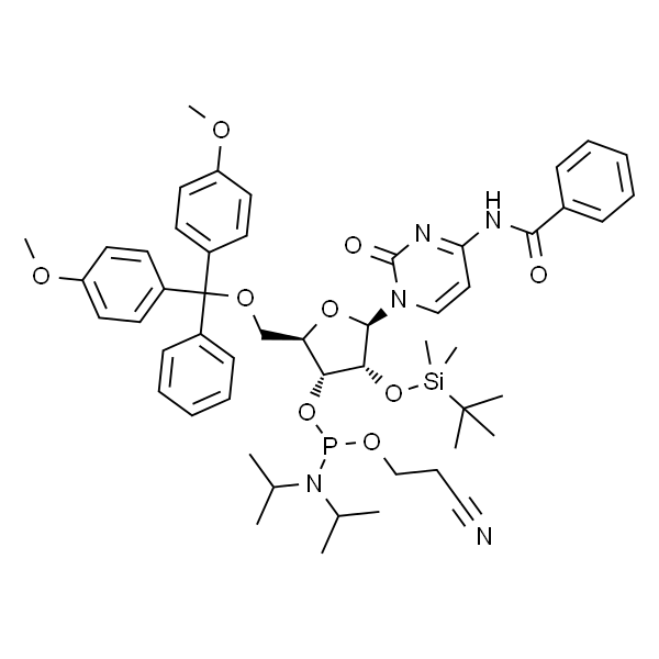 Bz-rCPhosphoramidite