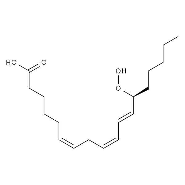 13(S)-hydroperoxy-6(Z),9(Z),11(E)-octadecatrienoic acid