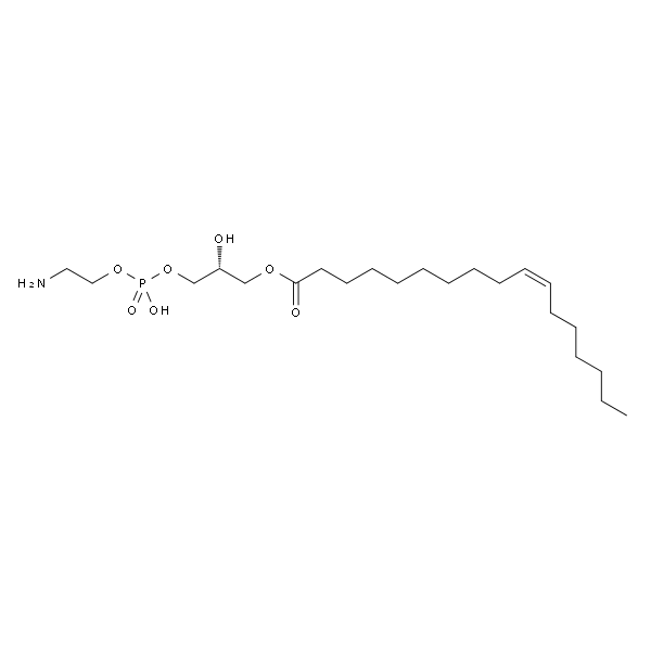 1-Heptadecenoyl-2-OH-sn-Glycero-3-Phosphoethanolamine
