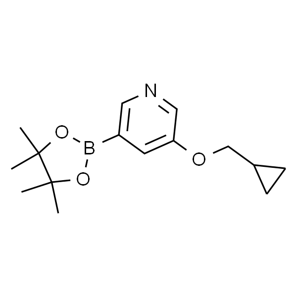 3-(Cyclopropylmethoxy)-5-(4，4，5，5-tetramethyl-1，3，2-dioxaborolan-2-yl)pyridine