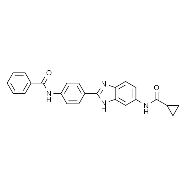 N-[4-(5-cyclopropanecarboxamido-1H-benzimidazol-2-yl)phenyl]benzamide