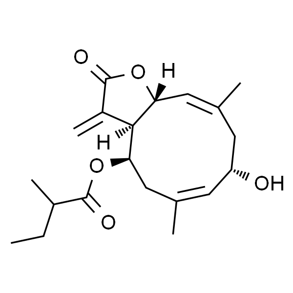 2α-Hydroxy-8β-(2-methylbutyryloxy)costunolide