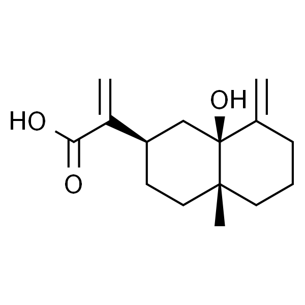 5β-Hydroxycostic acid