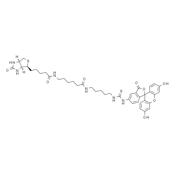 Fluorescein biotin  [5-((N-(5-(N-(6-(biotinoyl)amino)hexanoyl)amino)pentyl)thioureidyl)fluorescein]