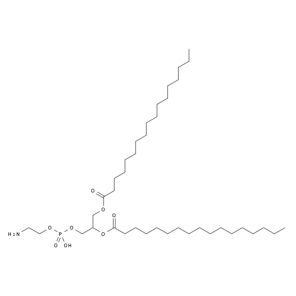 1，2-diheptadecanoyl-sn-glycero-3-phosphoethanolamine