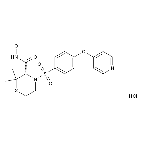 Prinomastat hydrochloride