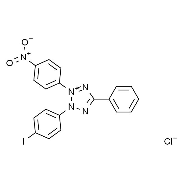 Iodonitrotetrazolium chloride (INT)