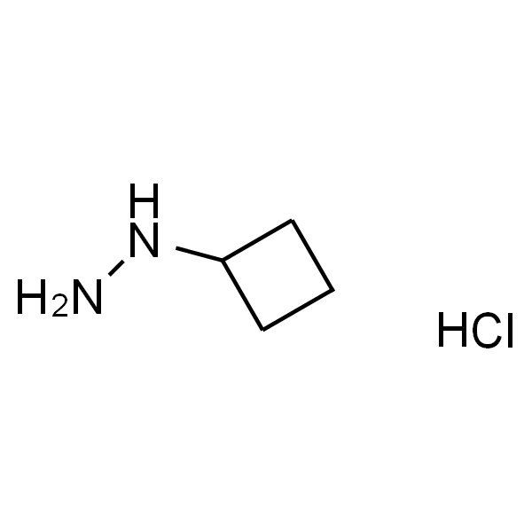 N-Cyclobutylhydrazine HCl