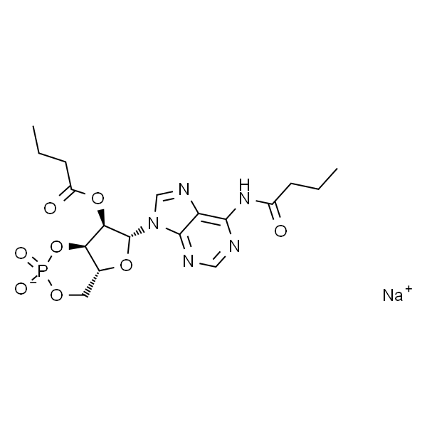 N6,2'-O-Dibutyryladenosine 3',5'-cyclic monophosphate sodium salt