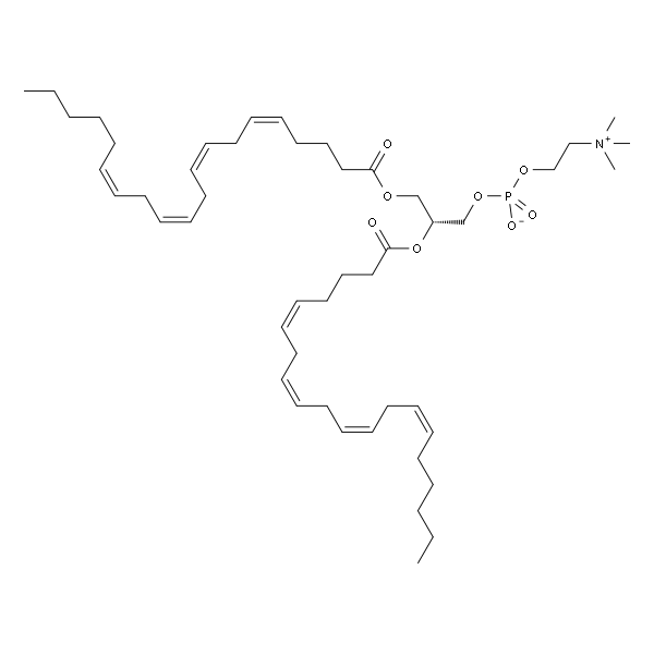 1,2-Diarachidonoyl-sn-Glycero-3-Phosphatidylcholine