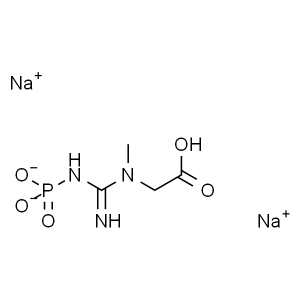 Phosphocreatine disodium salt hydrate >=97%