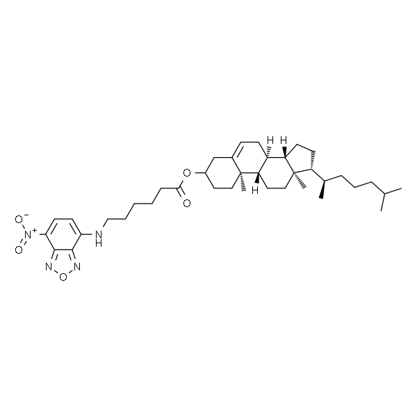 5-cholesten-3?-ol 6-[(7-nitro-2-1,3-benzoxadiazol-4-yl)amino]caproate
