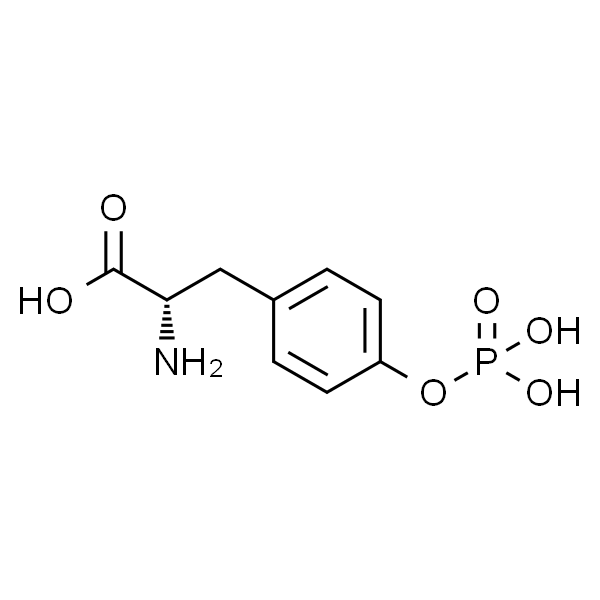 O-Phospho-L-tyrosine