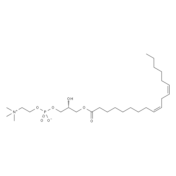 1-Linoleoyl-2-Hydroxy-sn-Glycero-3-Phosphatidylcholine