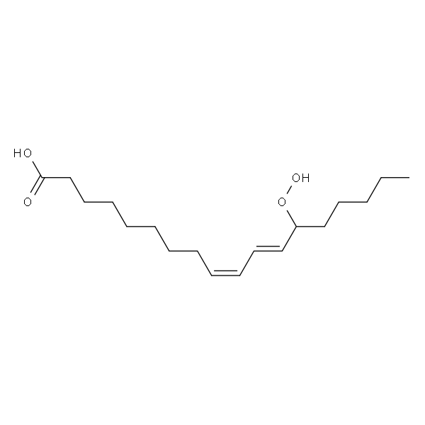 13-Hydroperoxy-9(Z),11(E)-octadecadienoic acid