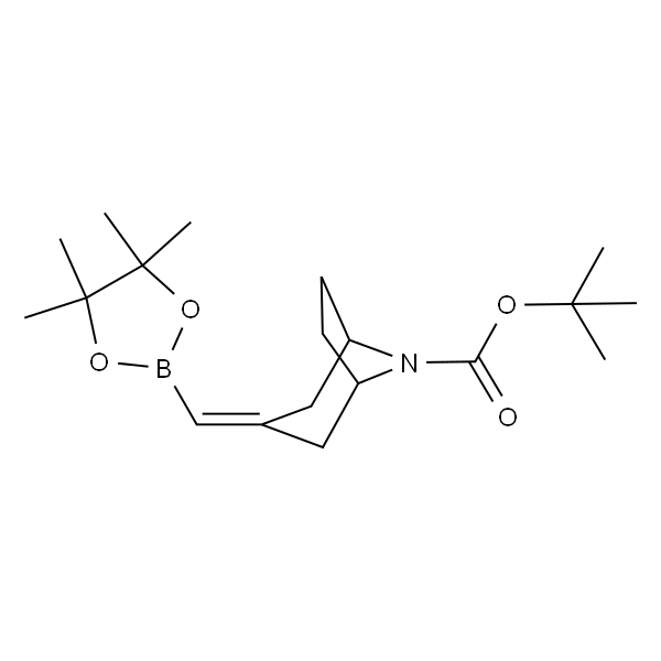 tert-butyl 3-((4，4，5，5-tetramethyl-1，3，2-dioxaborolan-2-yl)methylene)-8-azabicyclo[3.2.1]octane-8-carboxylate