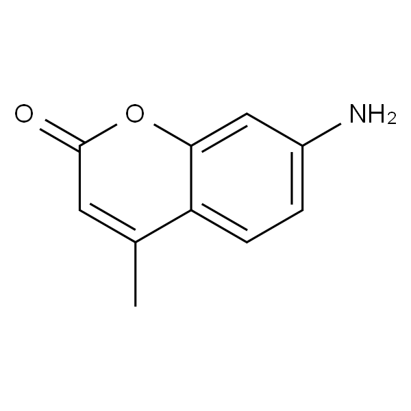 7-aMino-4-MethylcouMarin