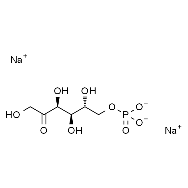 D－Fructose 6－phosphate
