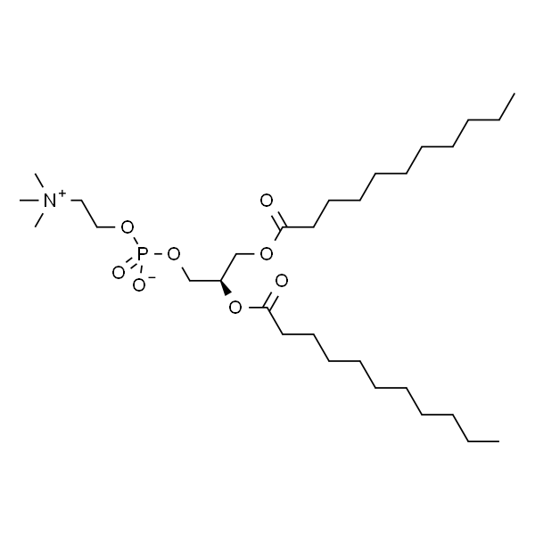 1,2-diundecanoyl-sn-glycero-3-phosphocholine