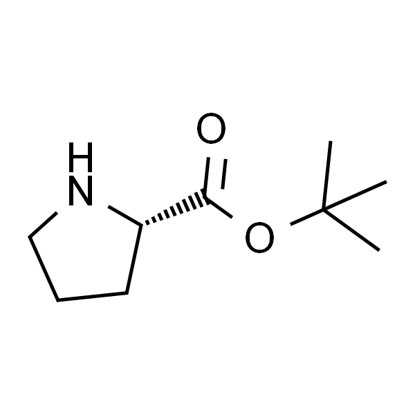 L-Proline t-butyl ester