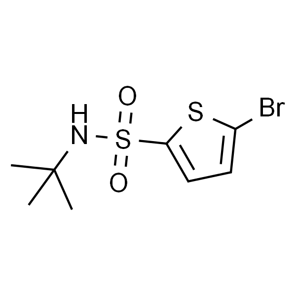 N-tert-Butyl 5-bromo-2-thiophenesulfonamide