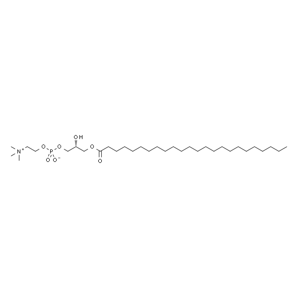1-lignoceroyl-2-hydroxy-sn-glycero-3-phosphocholine