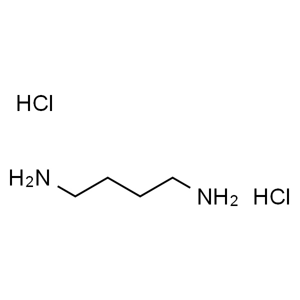 1,4-Diaminobutane dihydrochloride