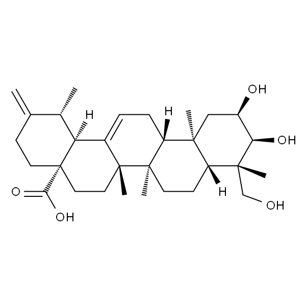 2α,3α,24-Trihydroxyursa -12,20(30)-dien-28-oic acid
