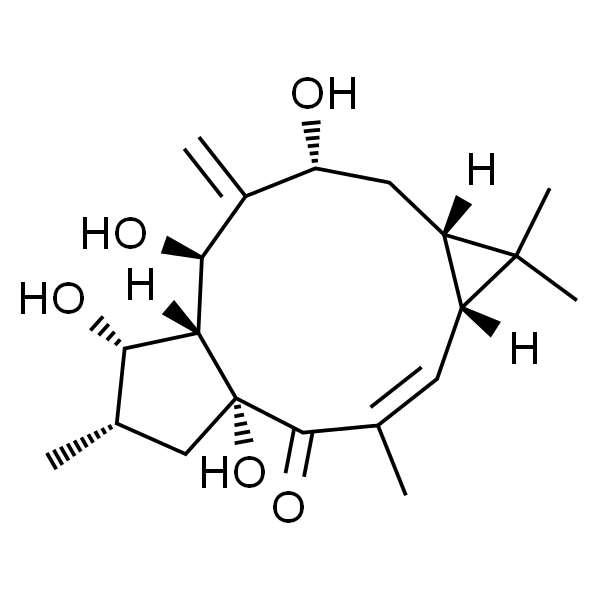 7β-Hydroxylathyrol