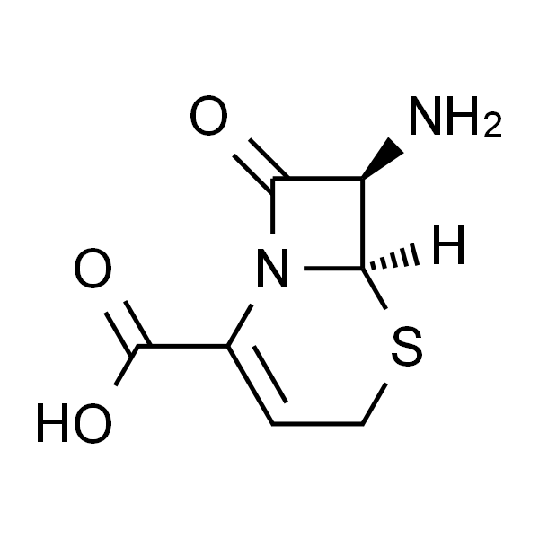 7-Amino-3-Cephem-4-Carboxylic Acid