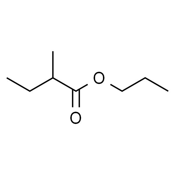 N-Propyl-2-Methyl Butyrate