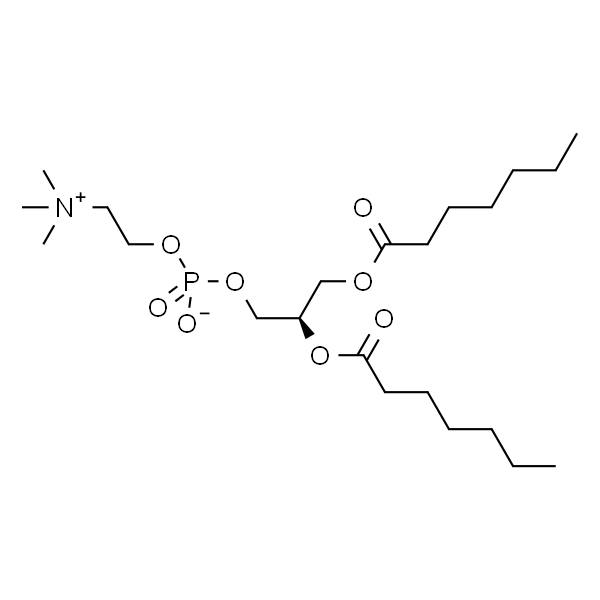 1,2-diheptanoyl-sn-glycero-3-phosphocholine