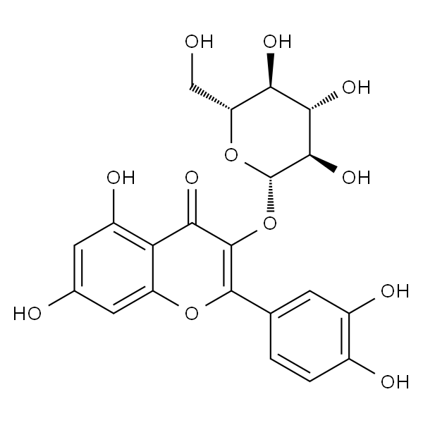 Quercetin 3-β-D-glucoside