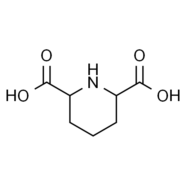 Piperidine-2，6-dicarboxylic Acid