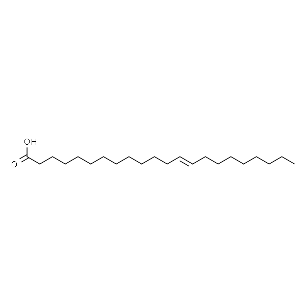 13(E)-Docosenoic acid
