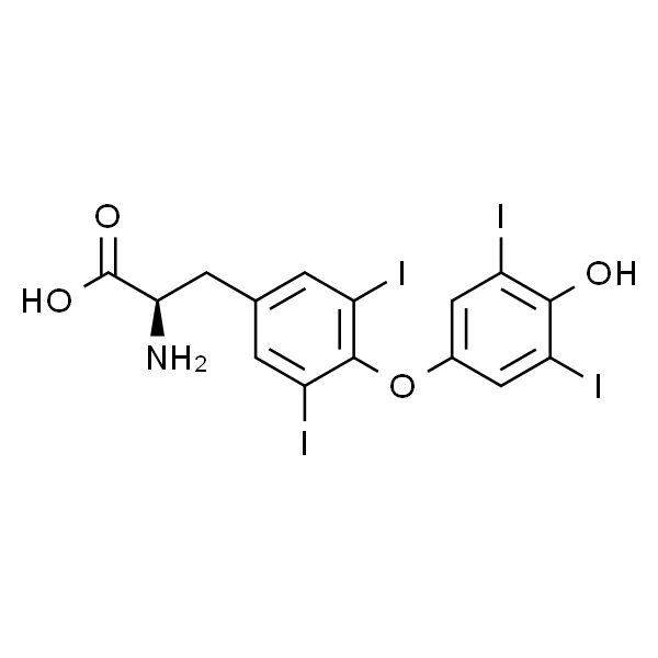 (R)-2-Amino-3-(4-(4-hydroxy-3，5-diiodophenoxy)-3，5-diiodophenyl)propanoic acid