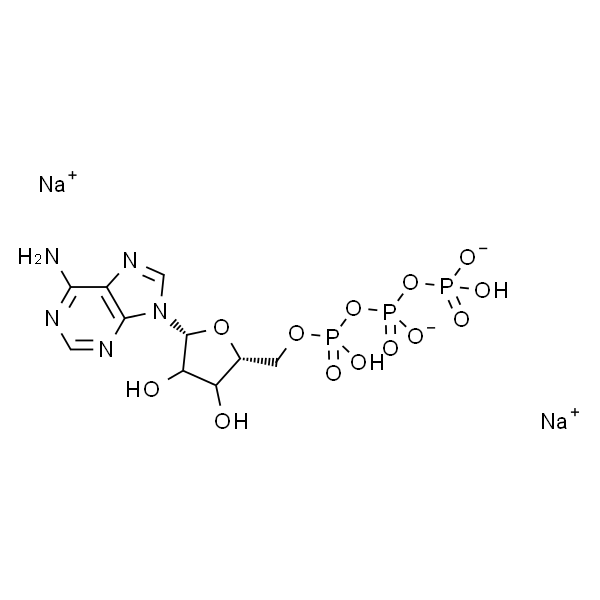 Adenosine 5’-triphosphate， disodium salt