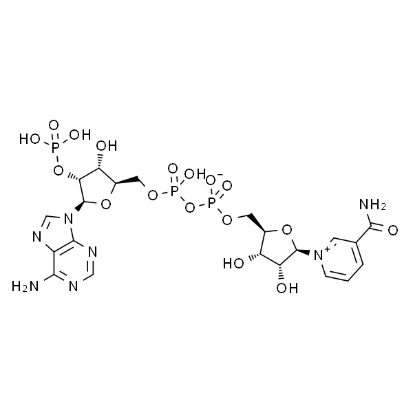 β-Nicotinamide adenine dinucleotide phosphate